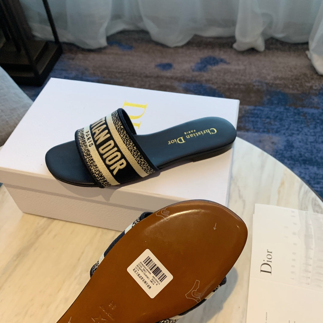 D I O R slides (2 Options)